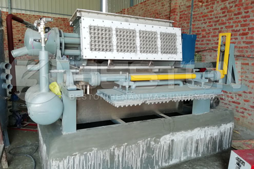 Get Seedling Tray Making Machine from Beston Machinery